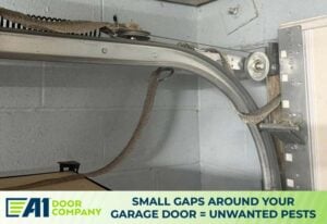 Small Gaps, Big Problems: How Pests Sneak Into Your Garage